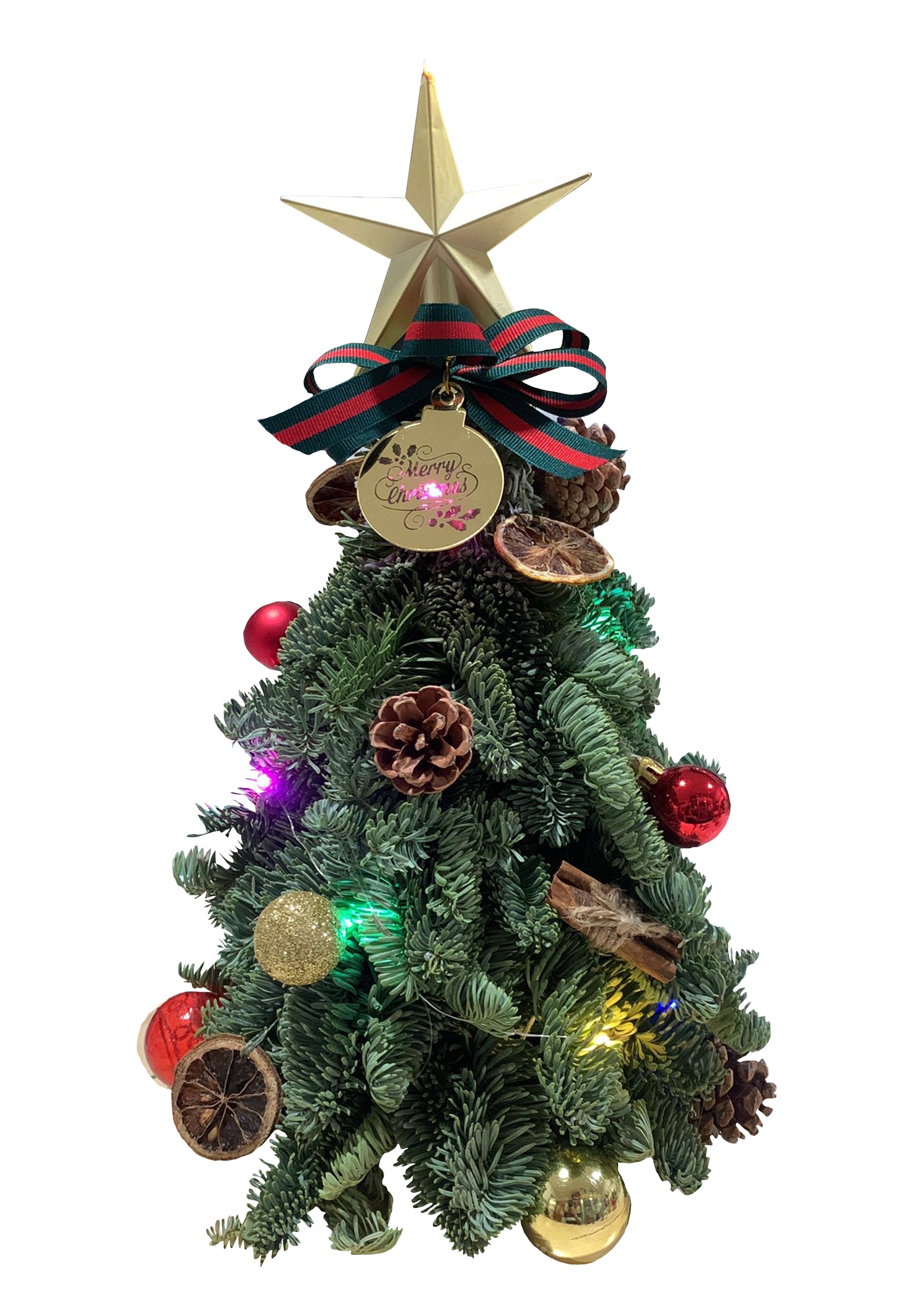 Aurora Eve Tree