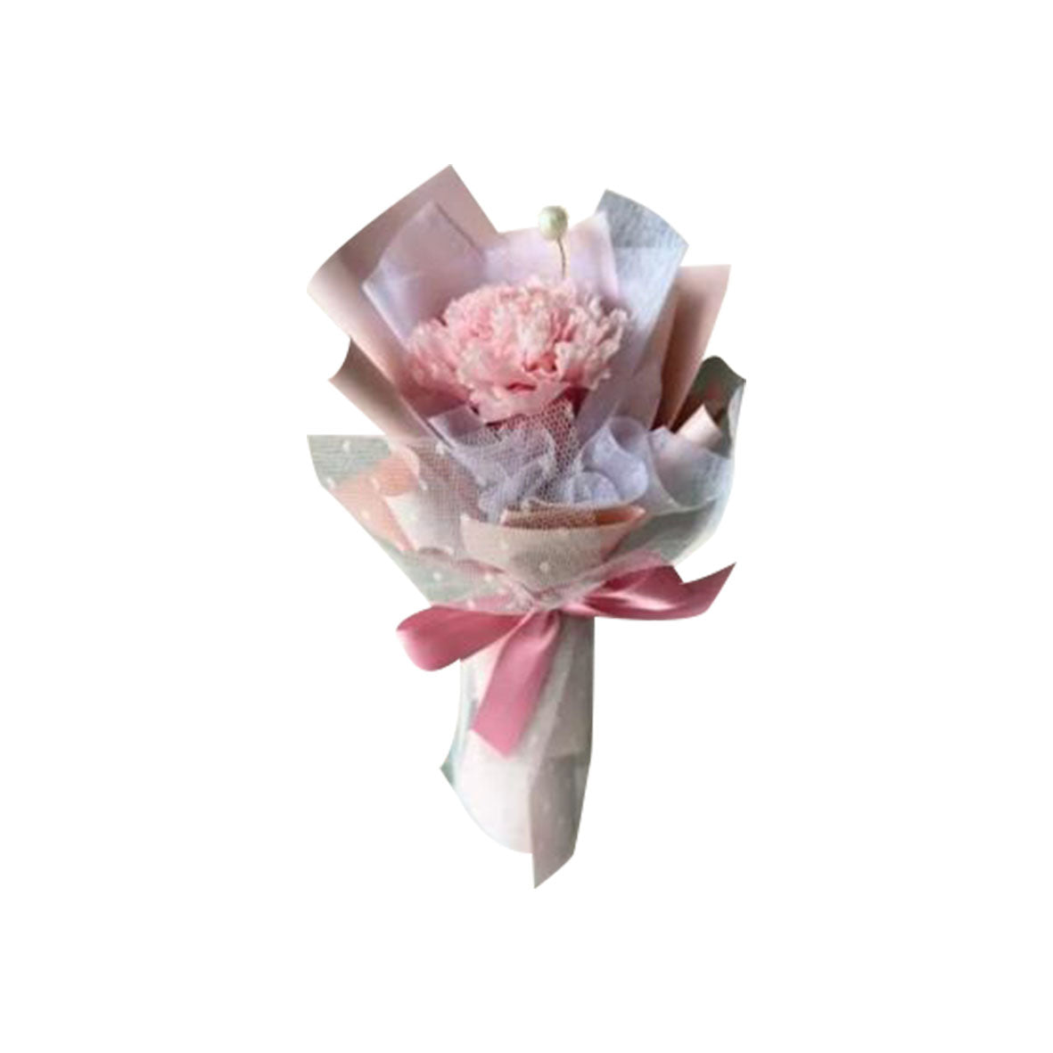 Blush Petite
