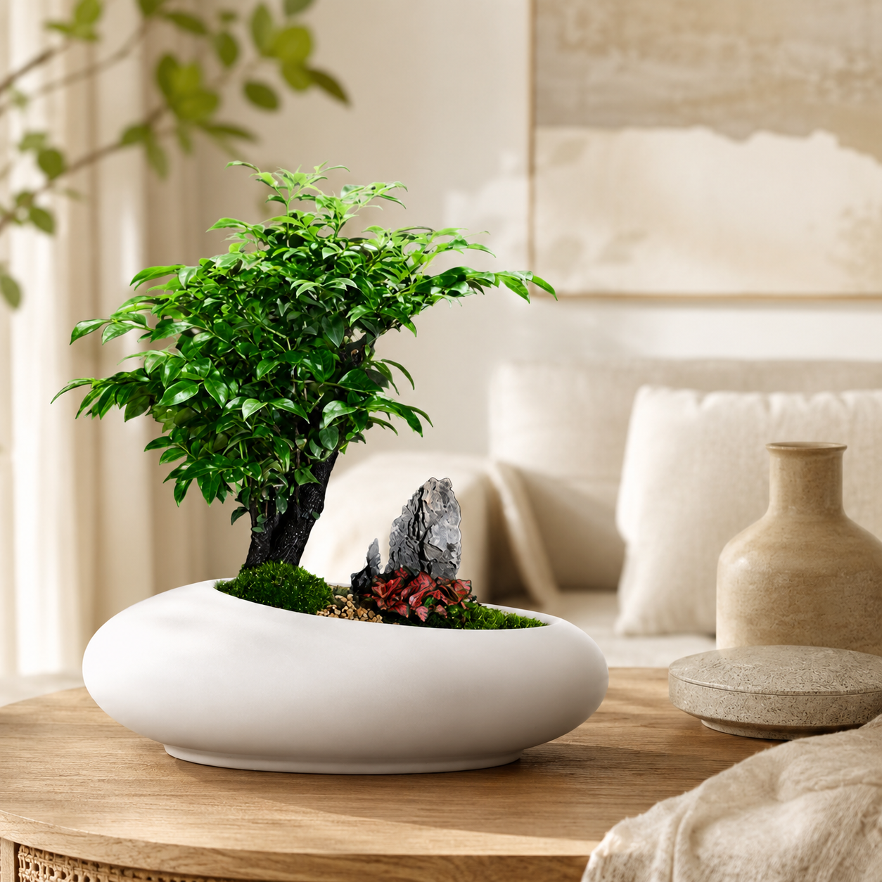 Ikebana Bonsai | Indoor Plant