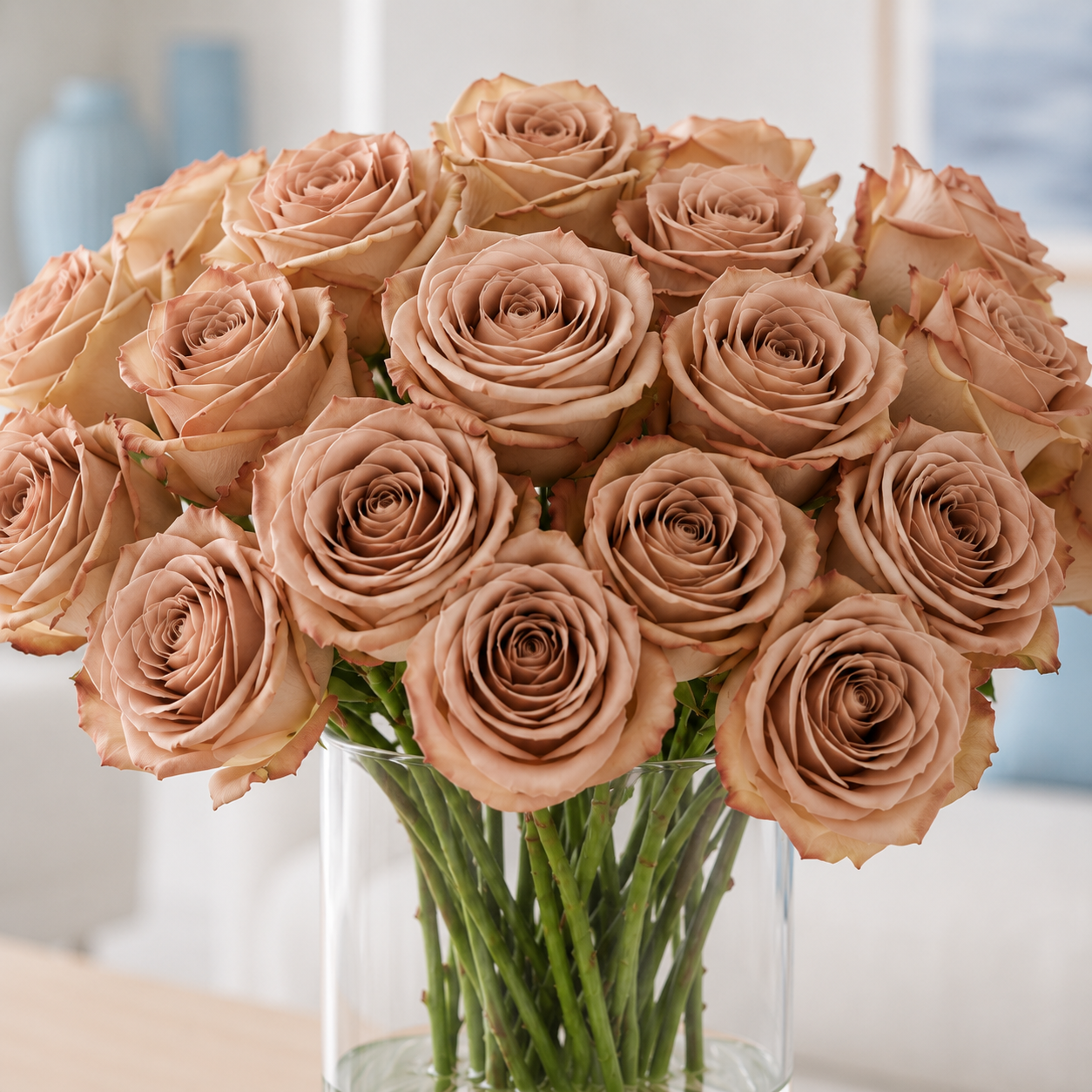 Rose Cappuccino