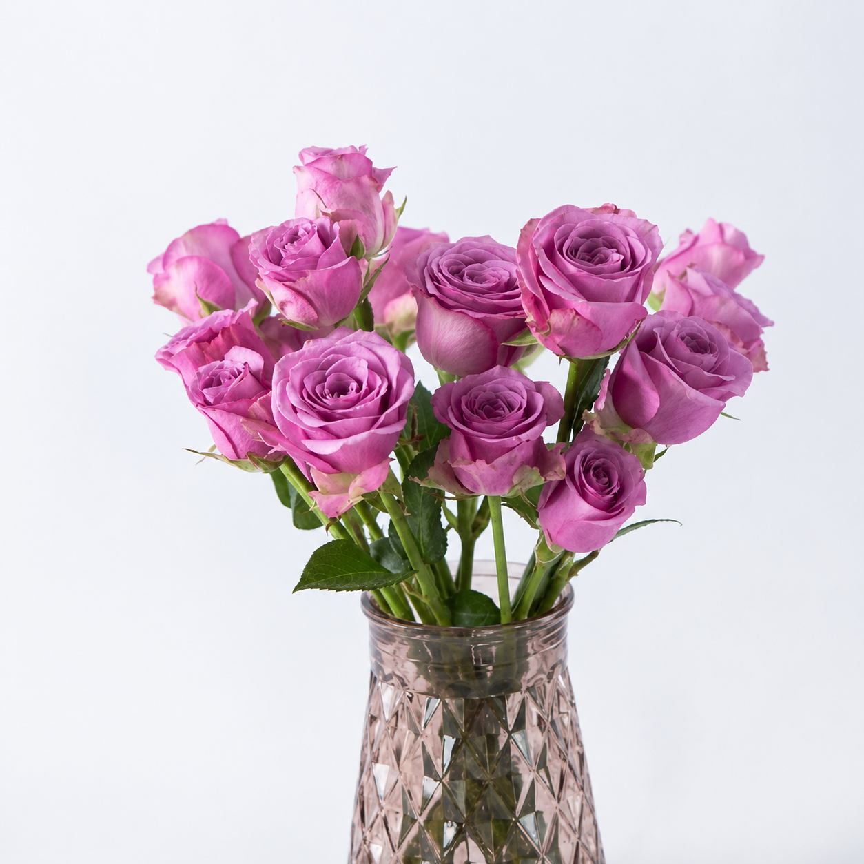 Dark Purple Rose