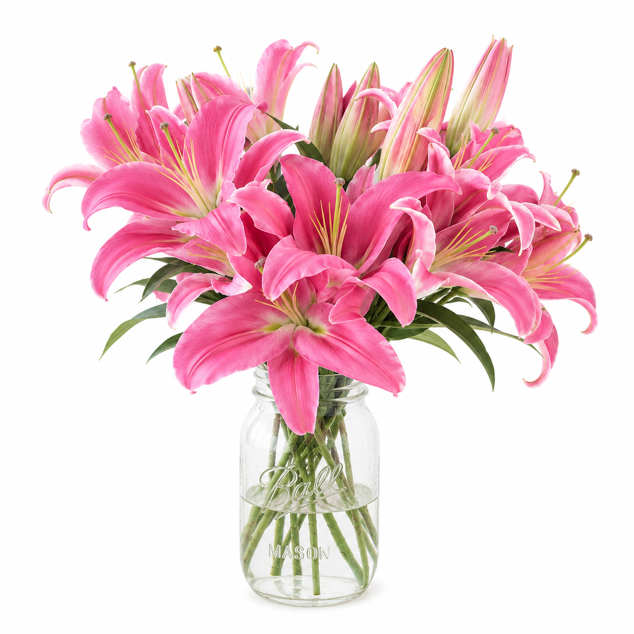 Oriental Lily | Wholesale Fresh Flowers