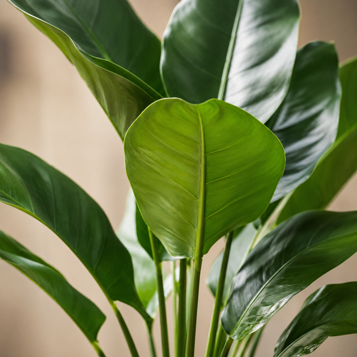 Artificial Ravenala Palm