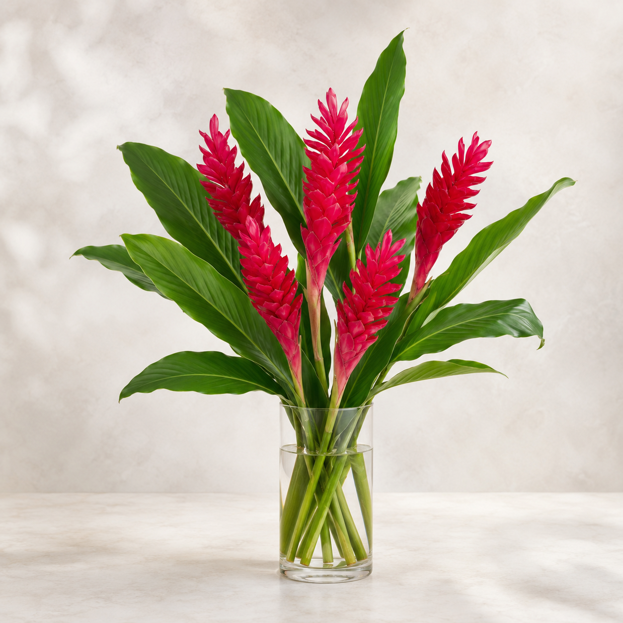 Ginger Flower | Wholesale Flowers