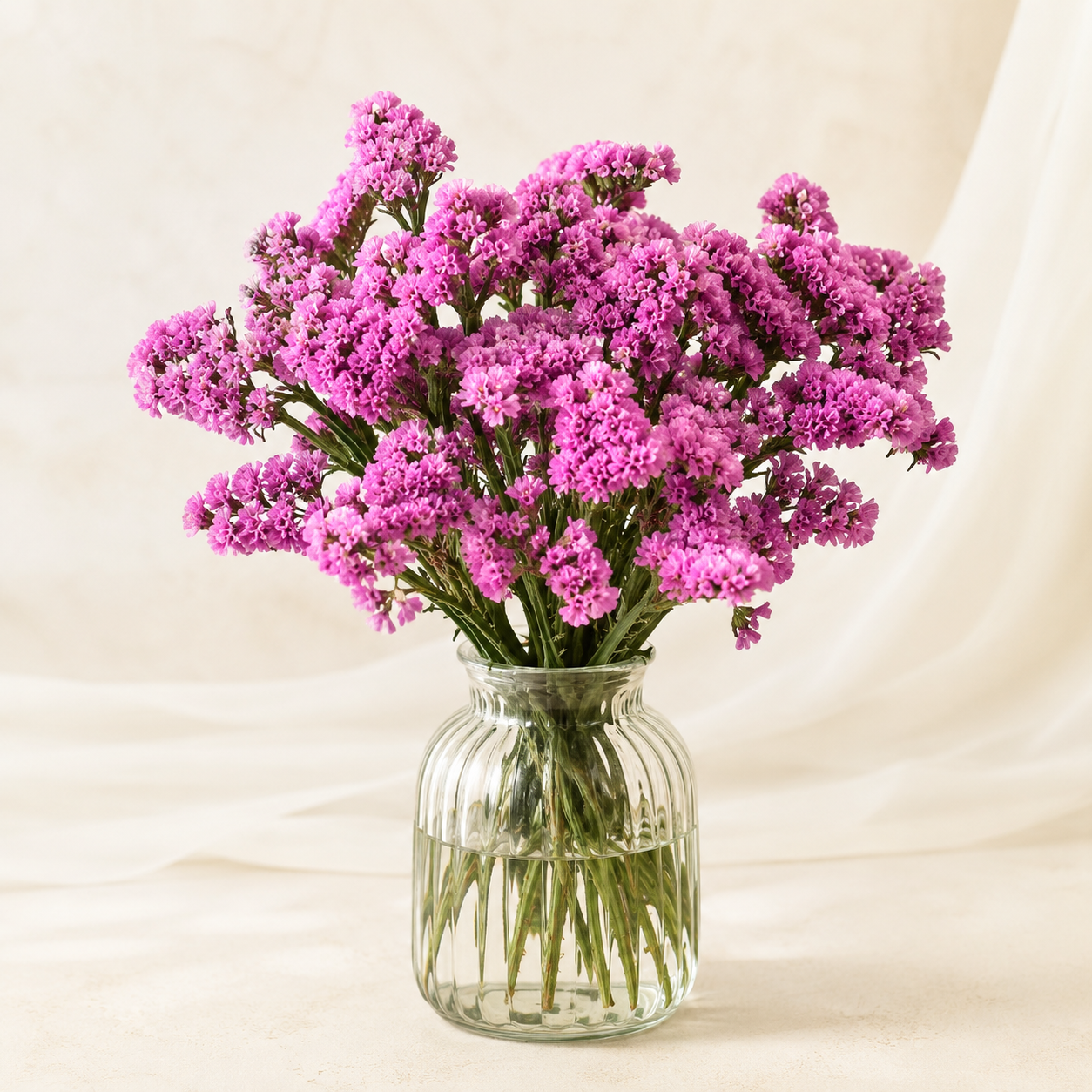 Statice | Wholesale Flowers