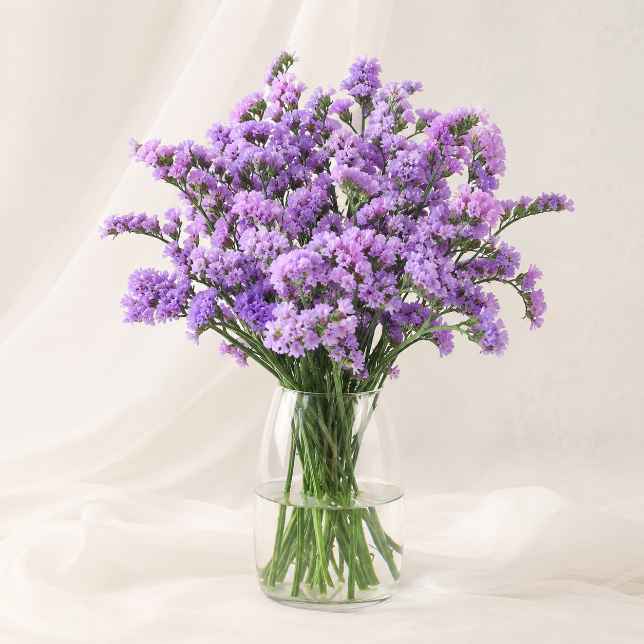Statice | Wholesale Flowers