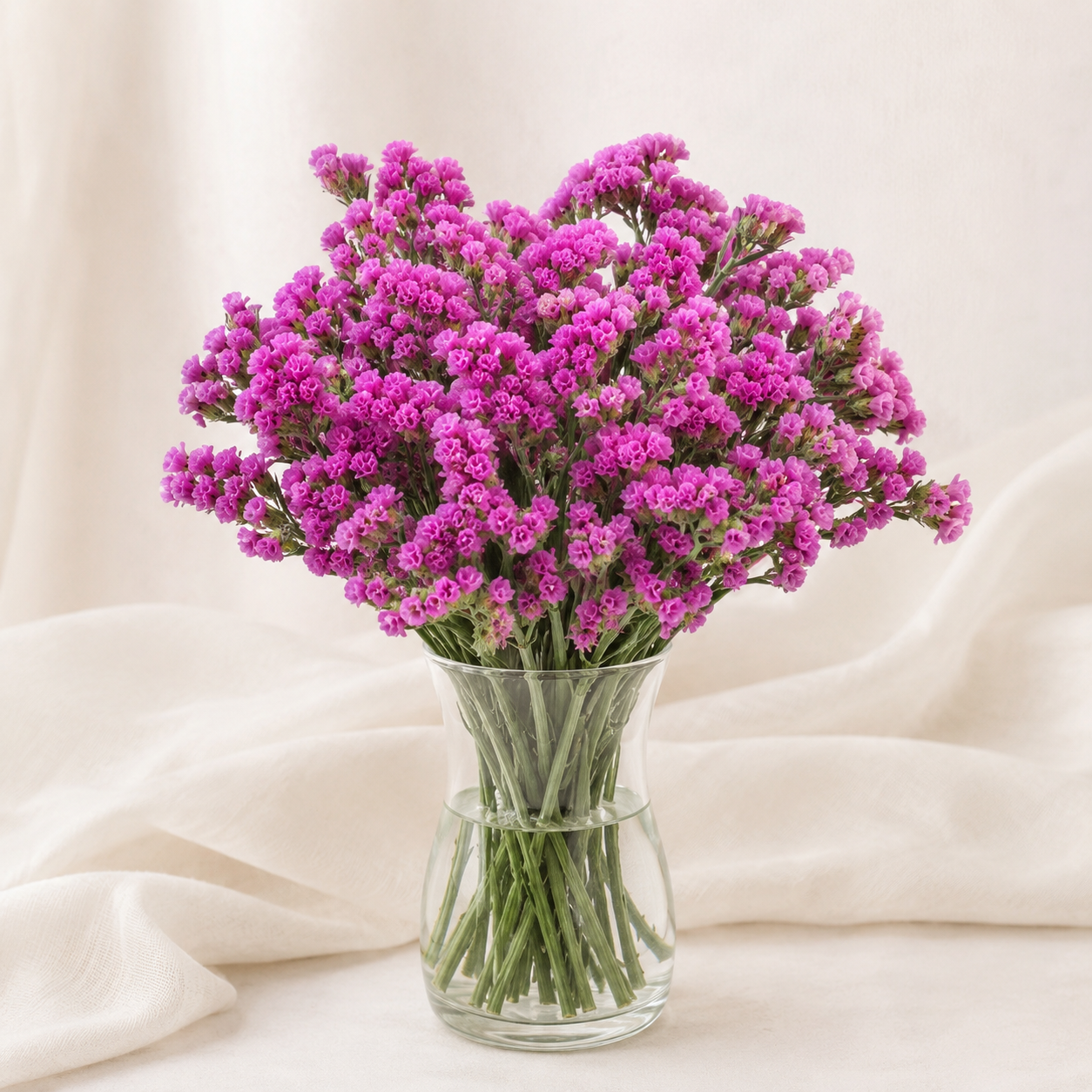 Statice | Wholesale Flowers