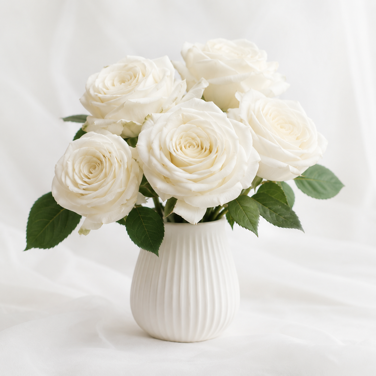 Ohara Roses | Wholesale Flowers