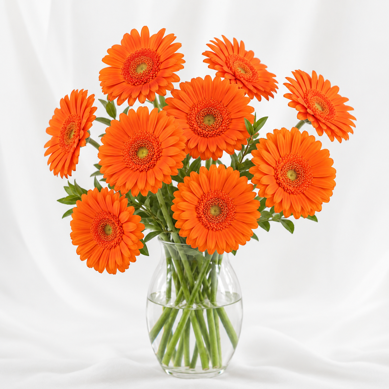 Gerbera | Wholesale Fresh Flowers