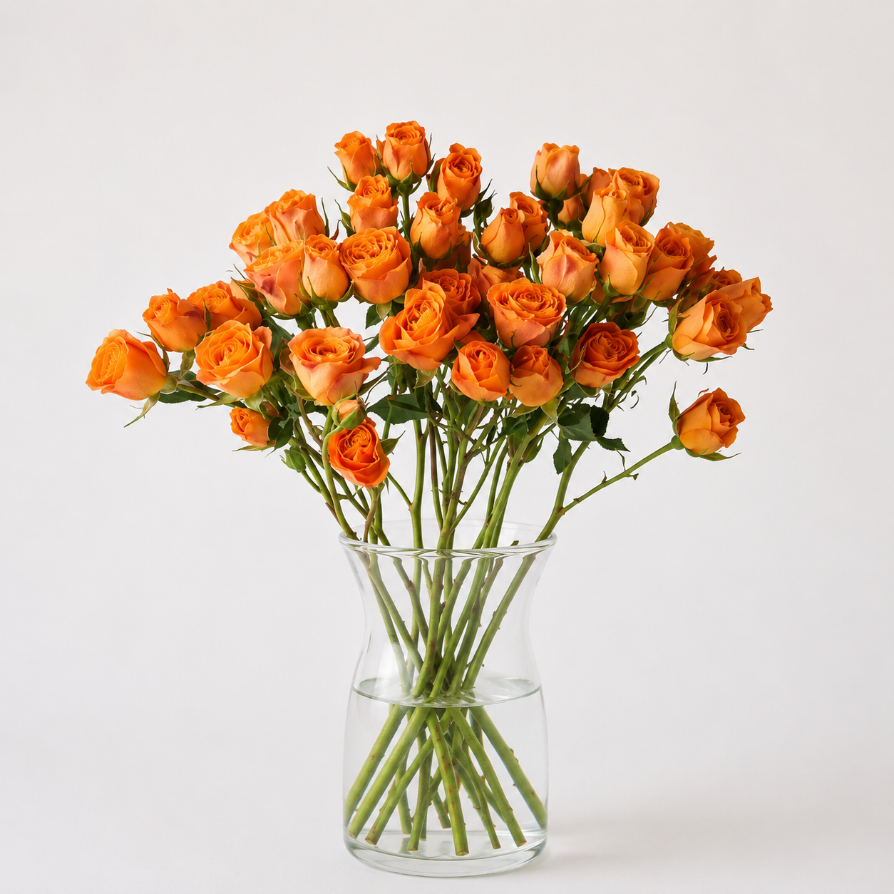Rose Spray Orange