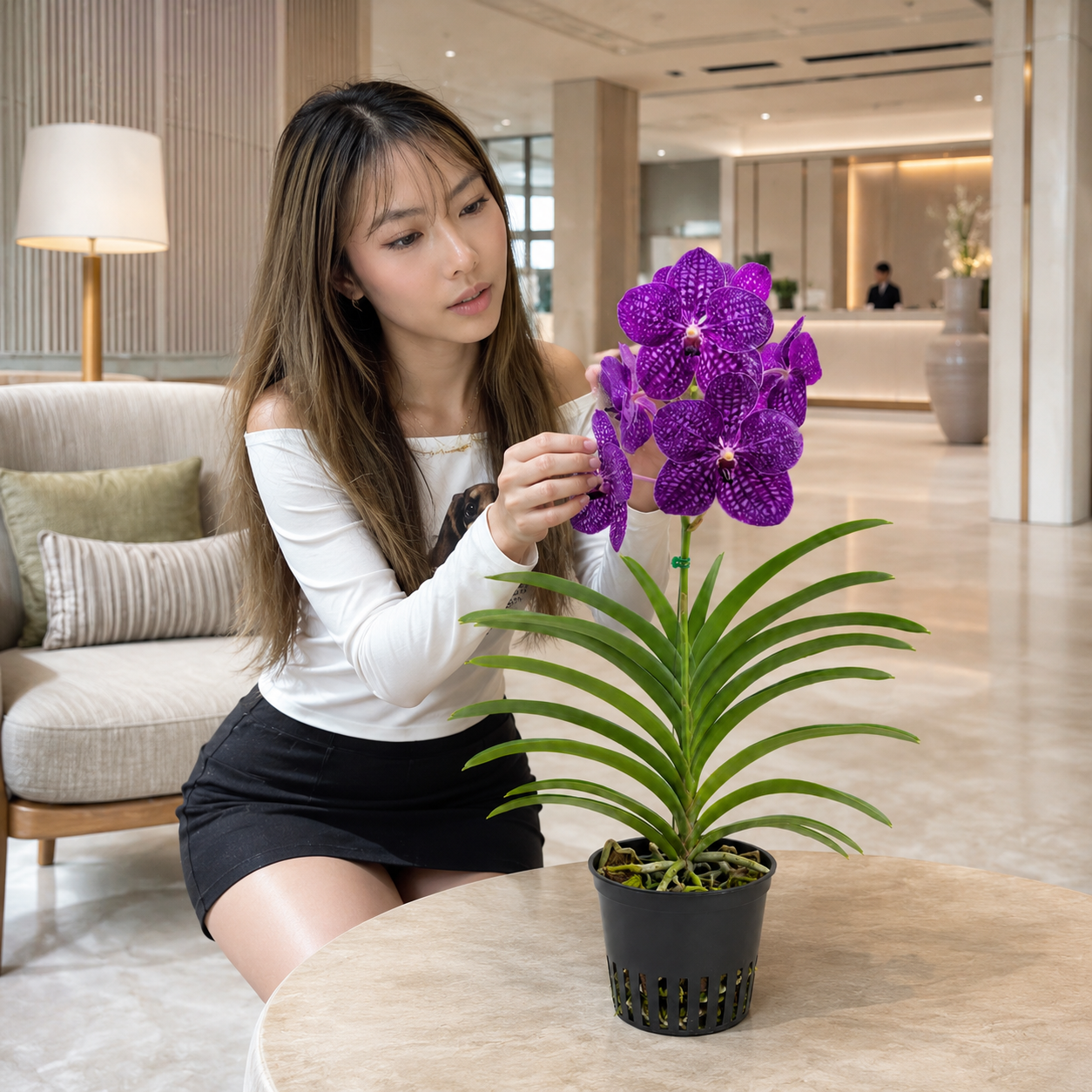 Vanda Blue | Wholesale Flowers