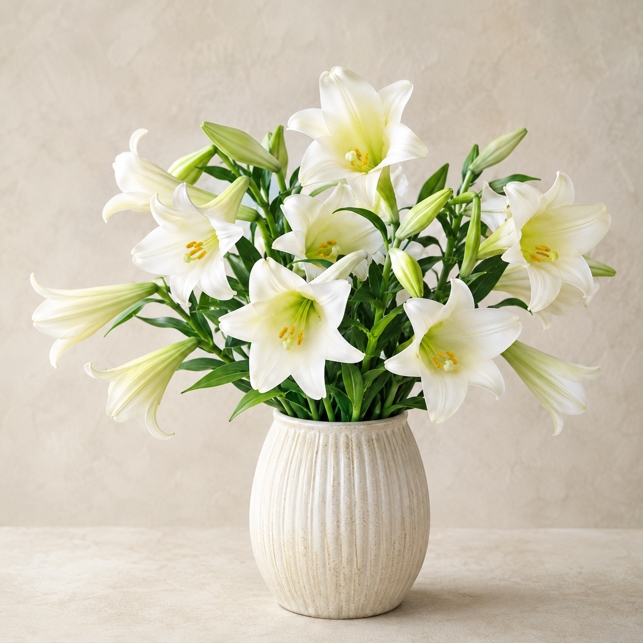Lily Longiforum | Wholesale Fresh Flowers