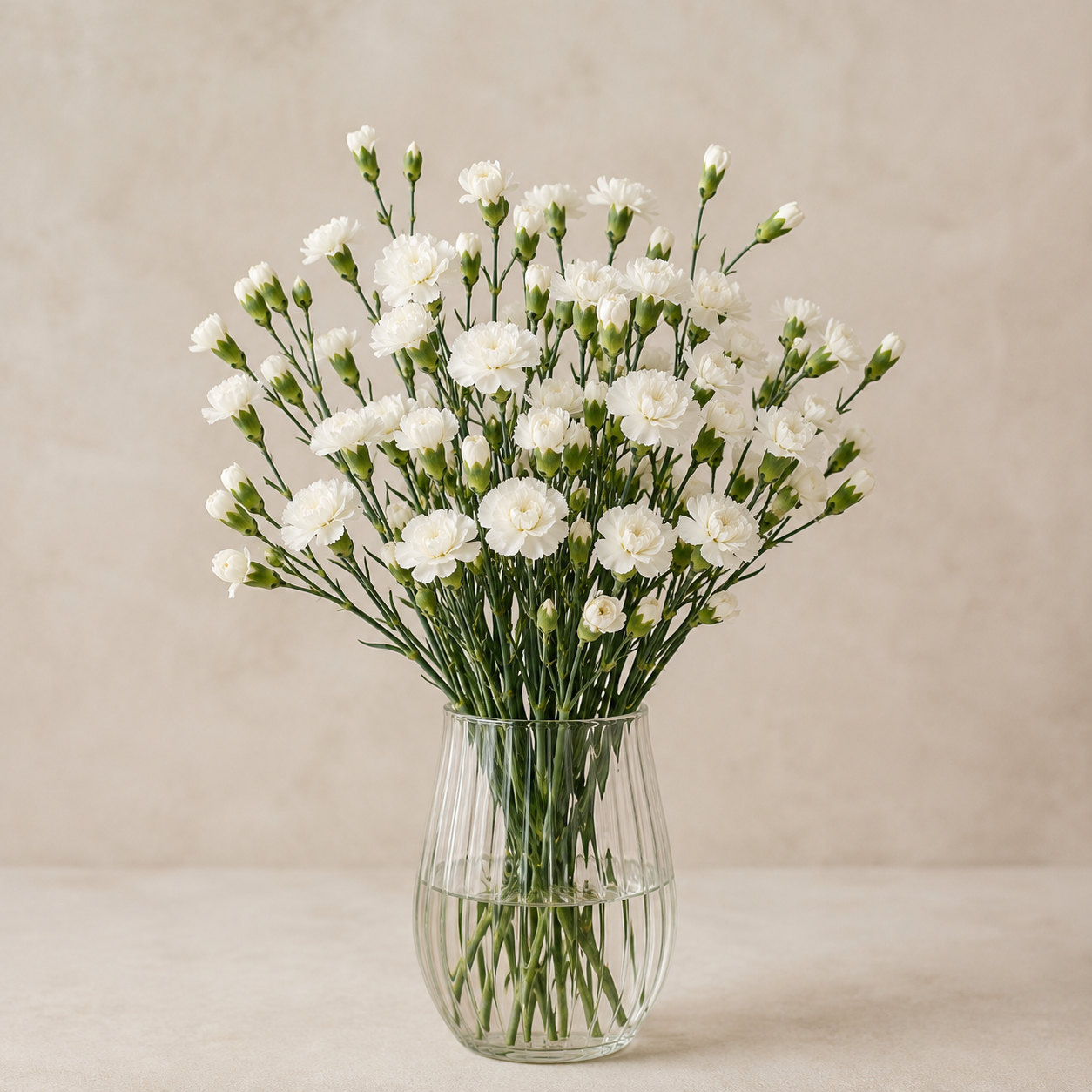 Carnation Spray | Wholesale Flowers