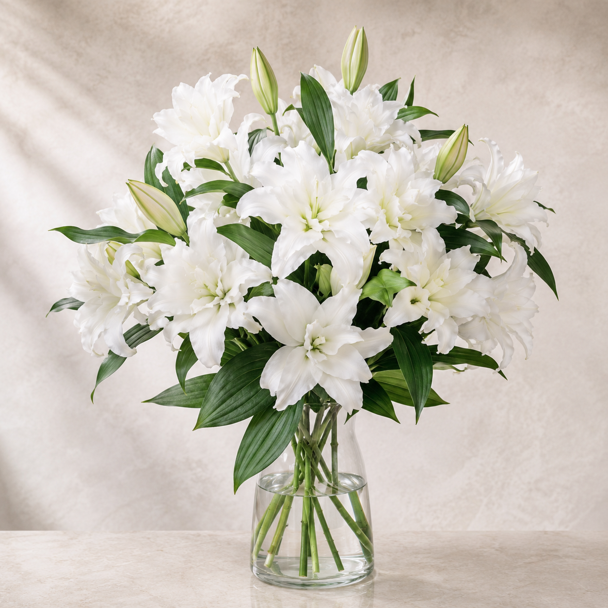 Double Petal Lily | Wholesale Flowers
