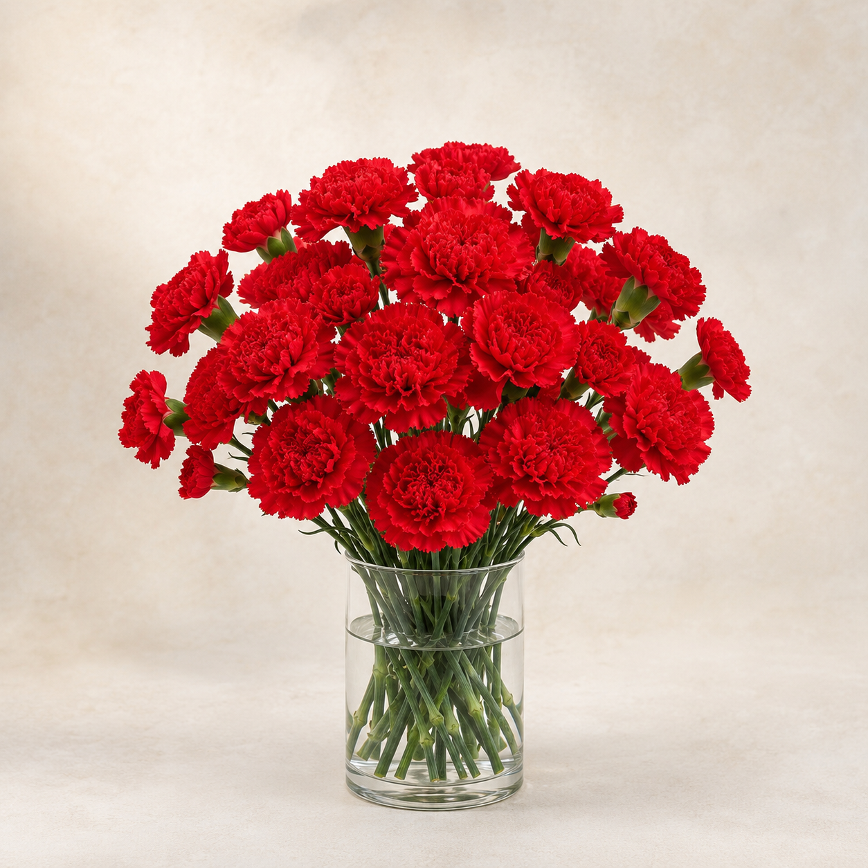 Carnation Red | Wholesale Fresh Flowers