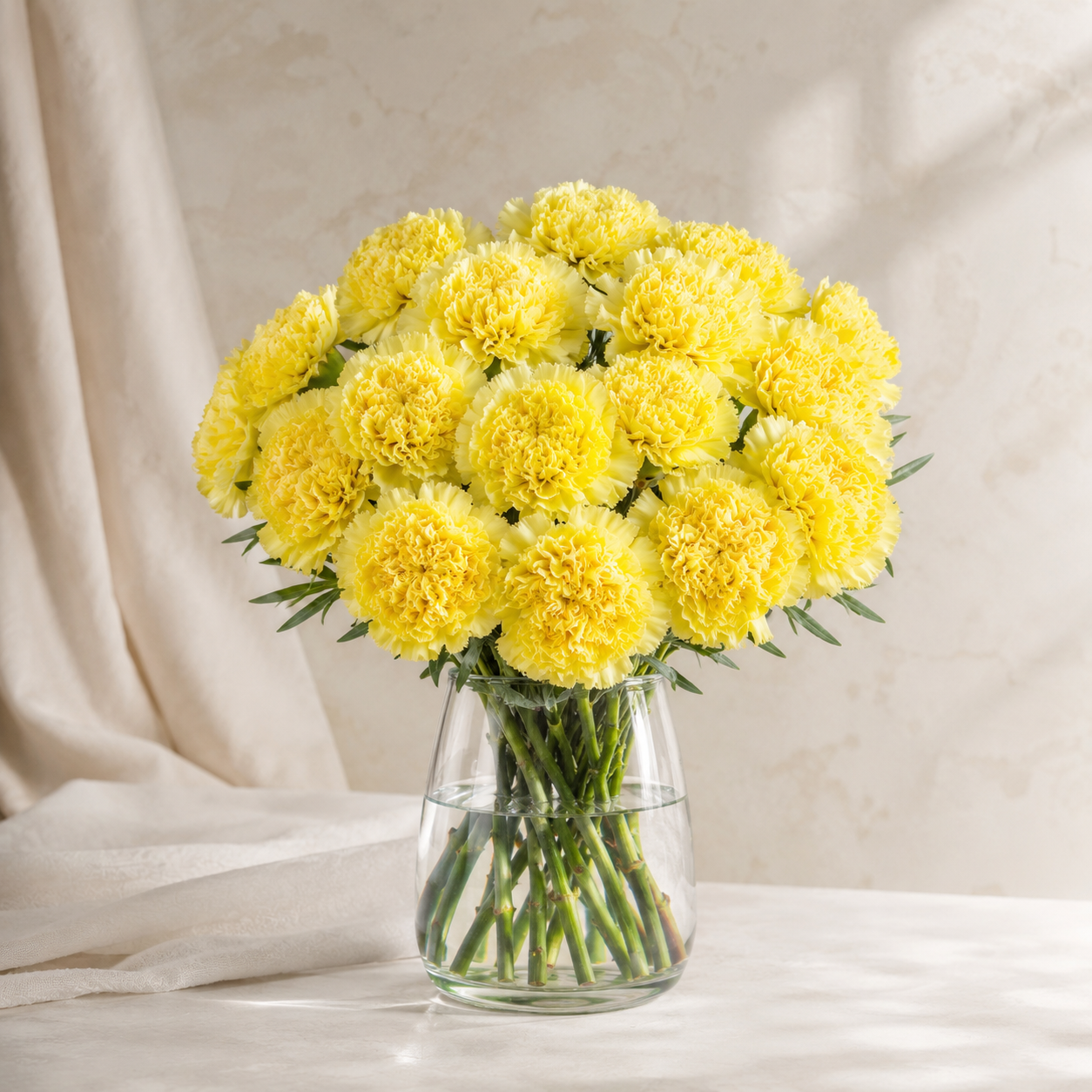 Carnation Yellow | Wholesale Flowers