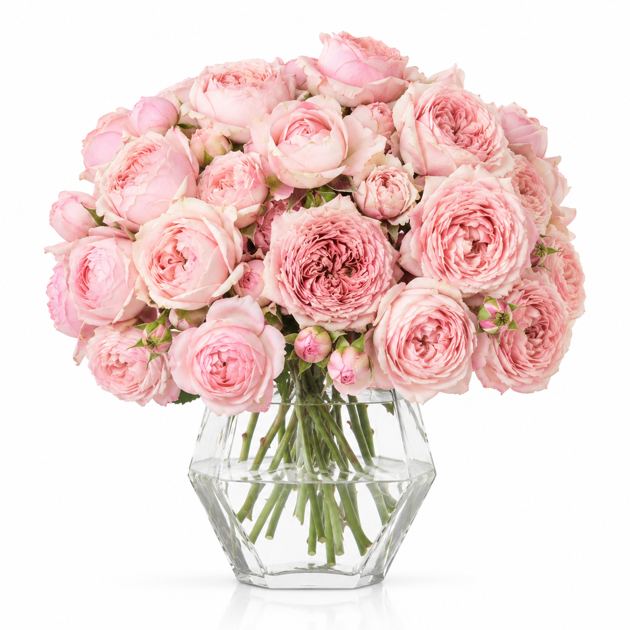 Rose Spray Juliet