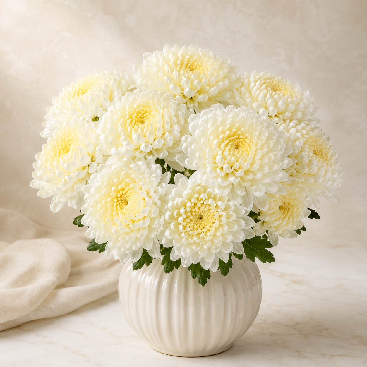 Chrysanthemum Sunlight | Wholesale Flowers
