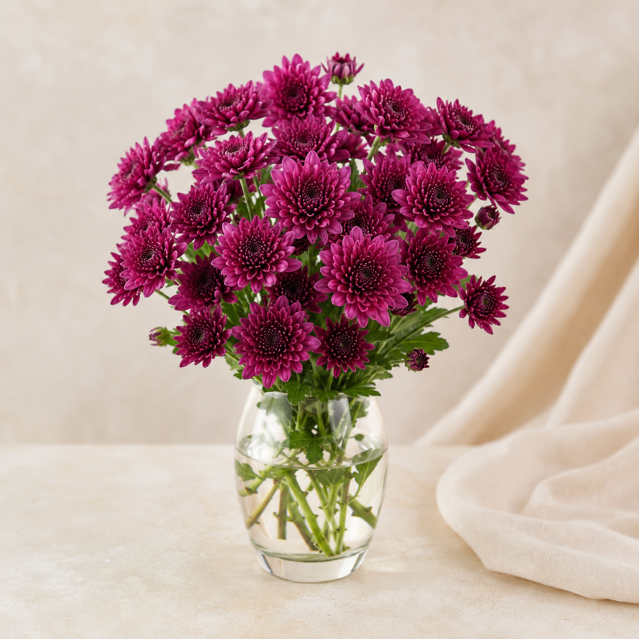 Chrysanthemum Spray | Wholesale Fresh Flowers