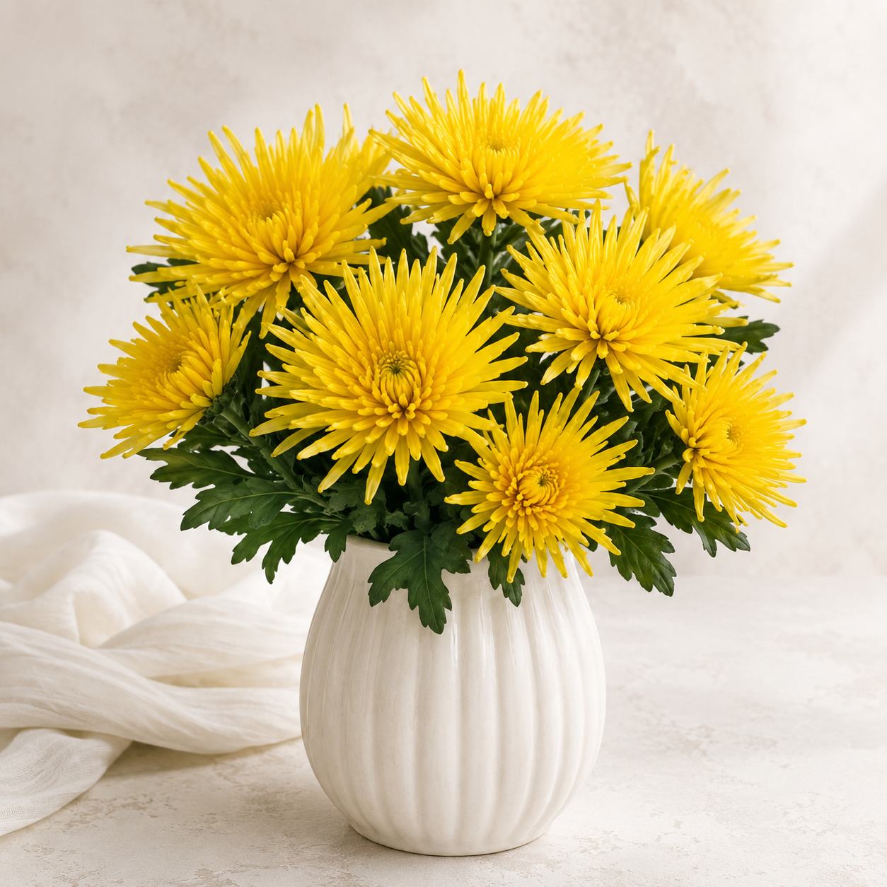 Anastasia | Wholesale Flowers
