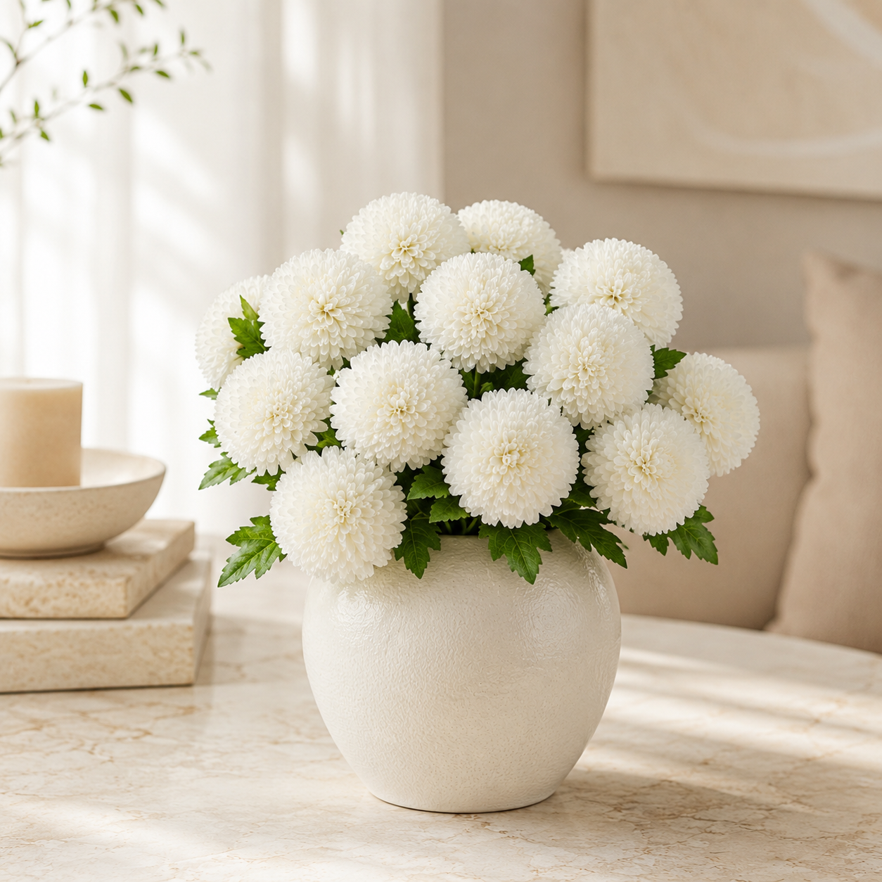 Ping Pong Chrysanthemum | Wholesale Fresh Flowers