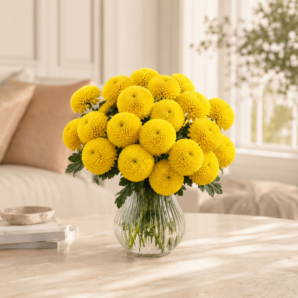 Ping Pong Chrysanthemum | Wholesale Fresh Flowers