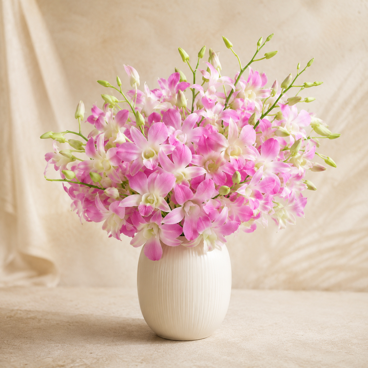 Dendrobium Orchid