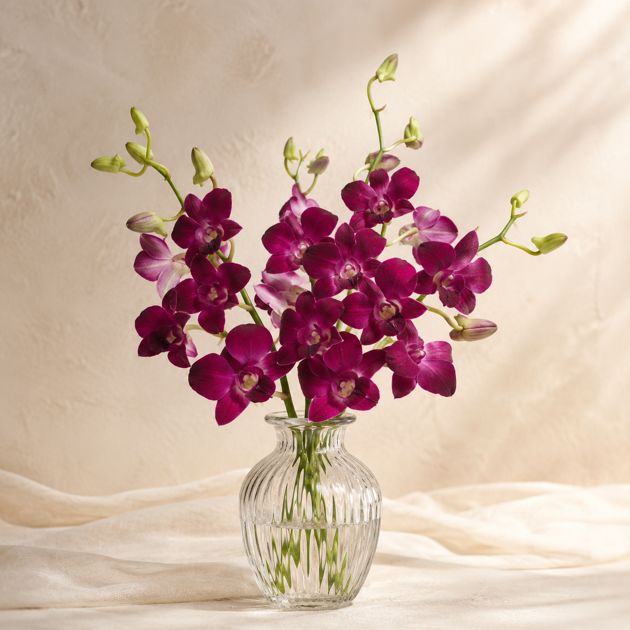 Dendrobium Orchid