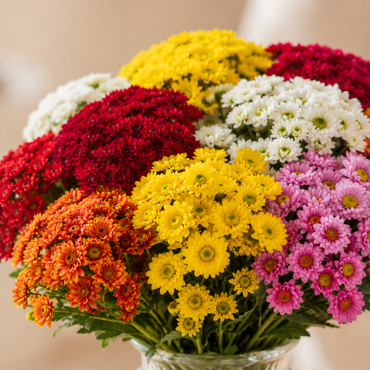 Pom Pom Mix 3 Bundles | Wholesale Fresh Flowers