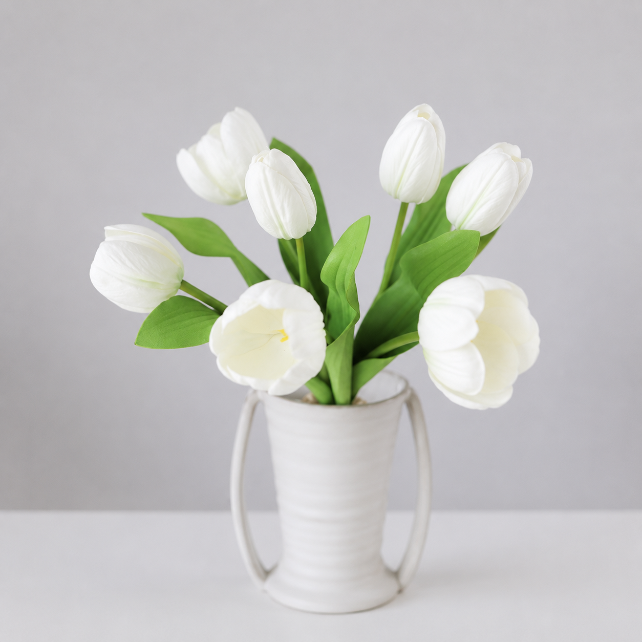 Tulips | Wholesale Flowers