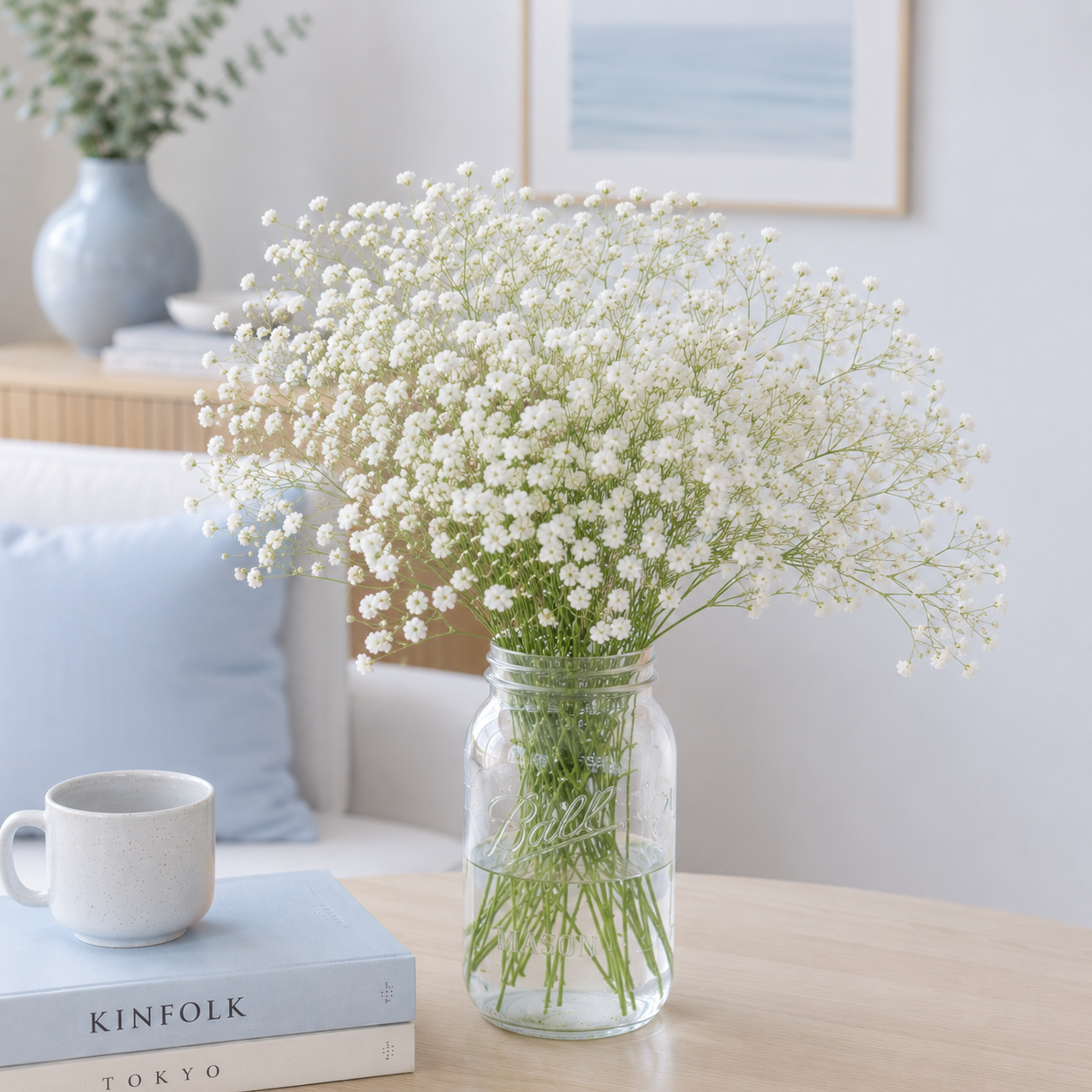 Baby's Breath | Wholesale Flowers