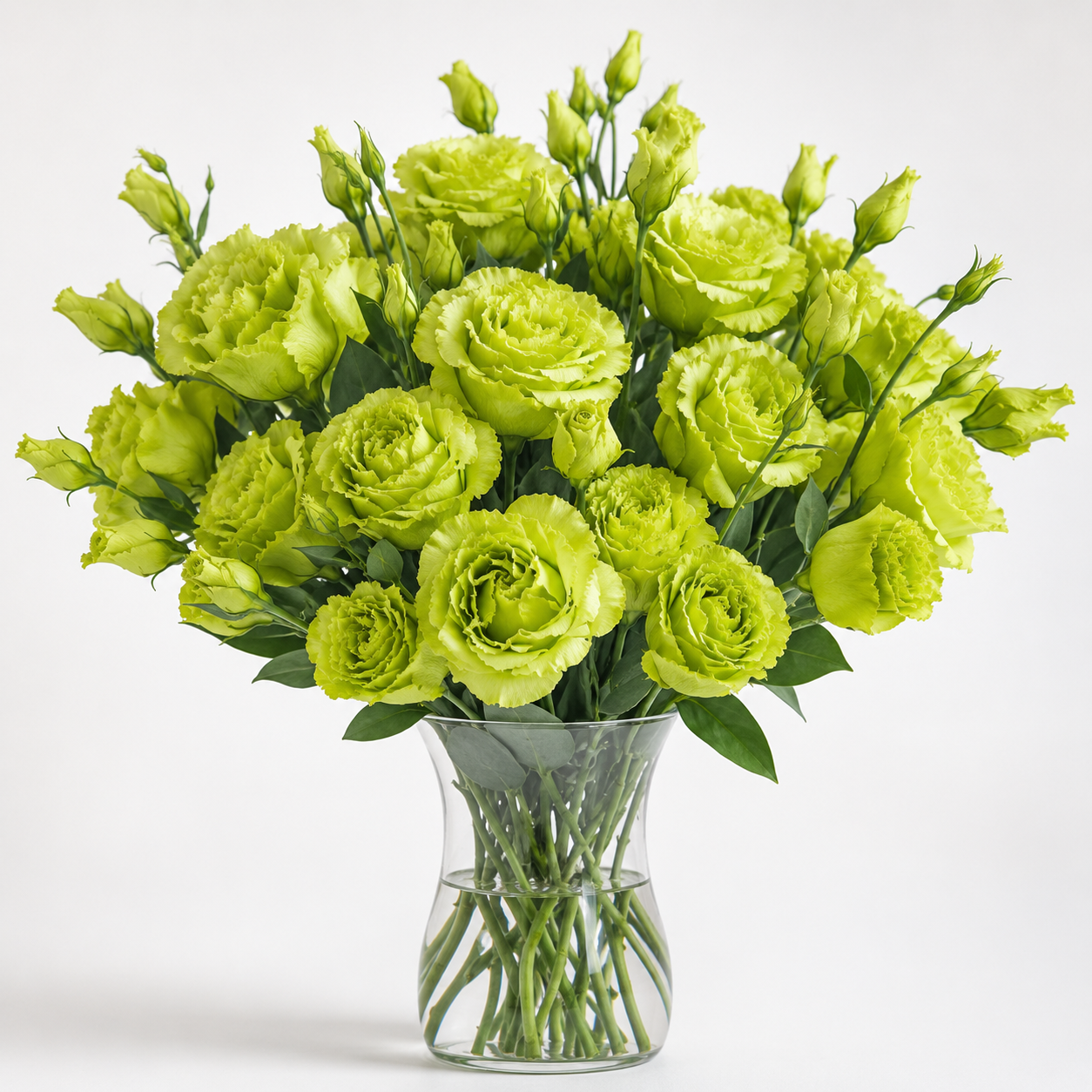 Eustoma | Wholesale Fresh Flowers