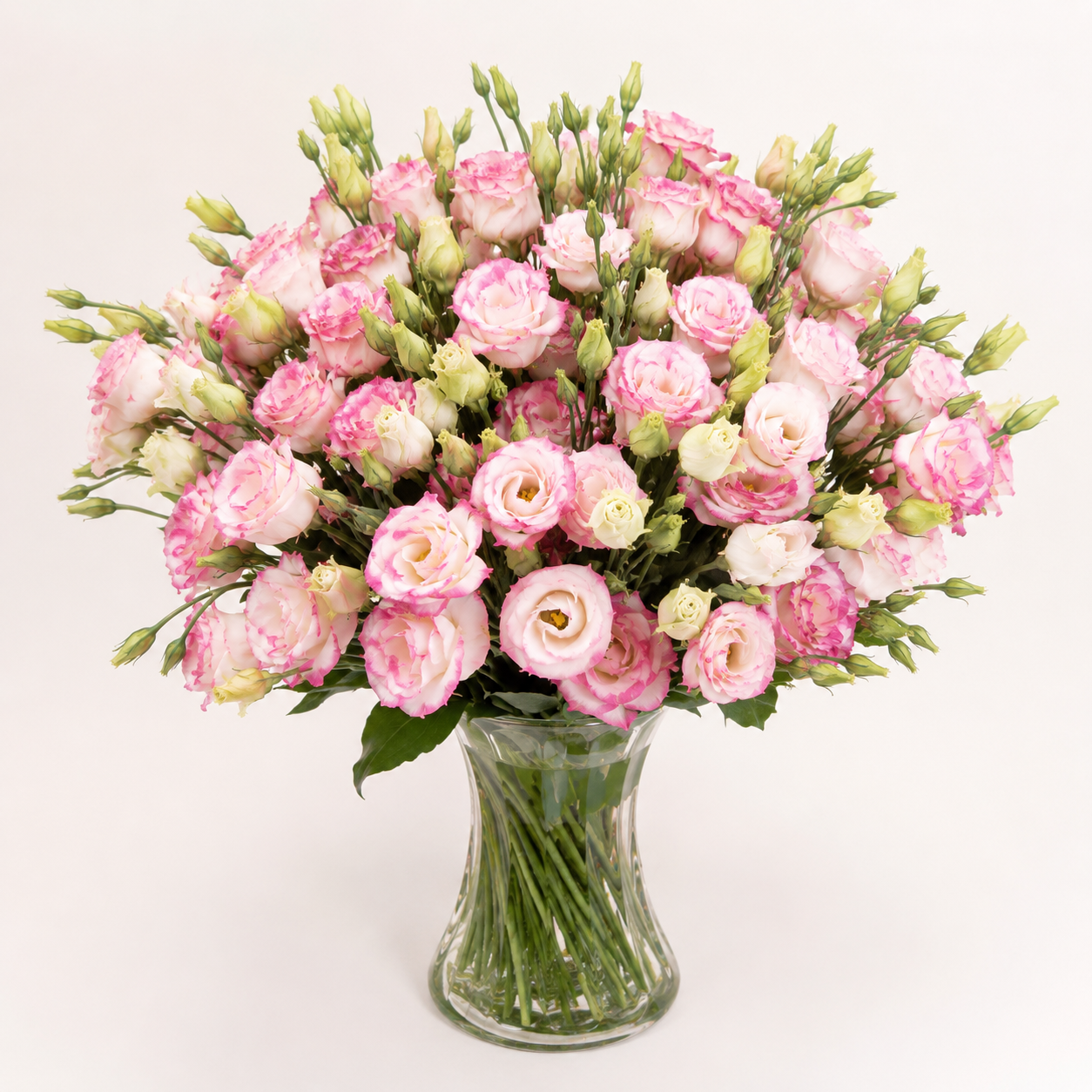 Eustoma | Wholesale Fresh Flowers