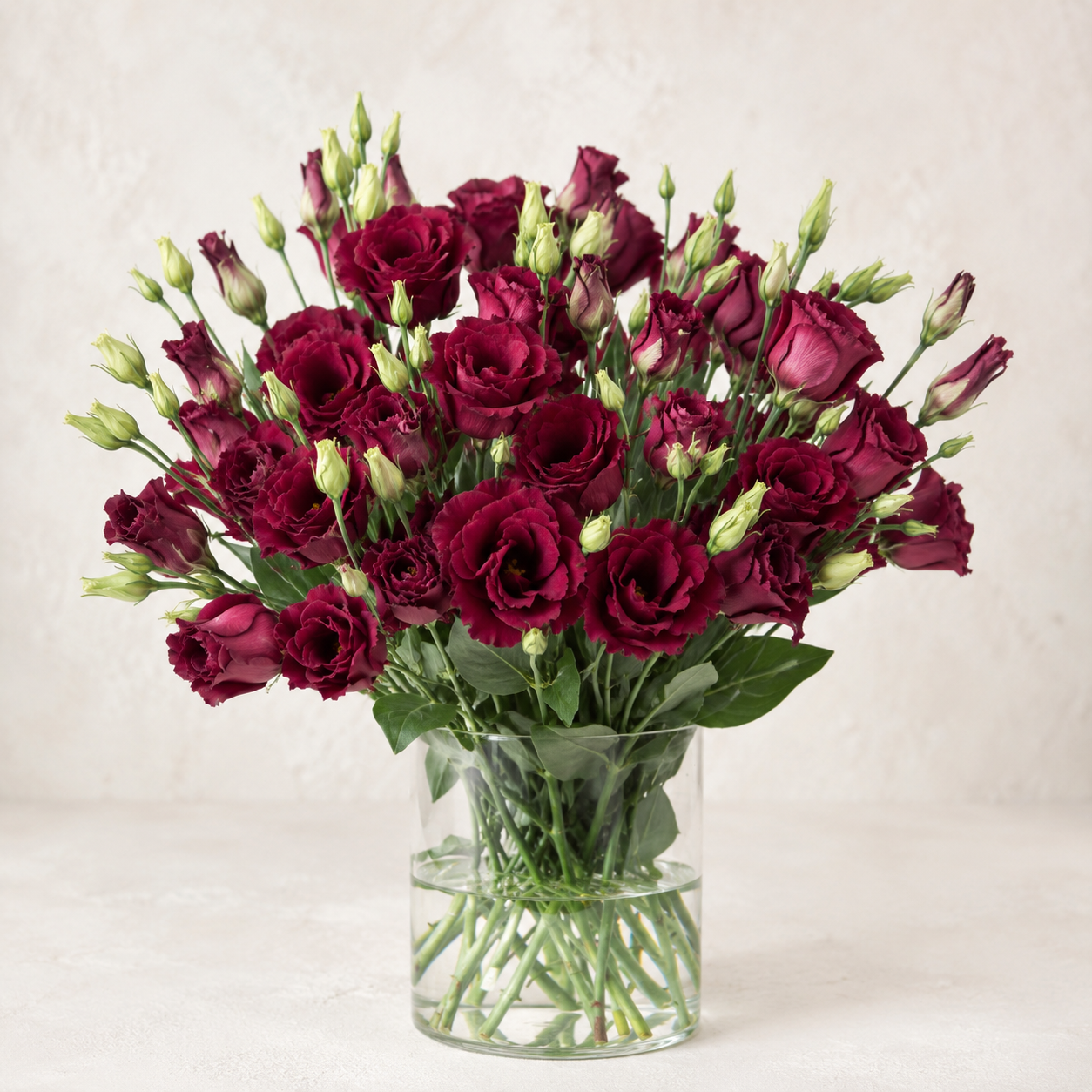 Eustoma | Wholesale Fresh Flowers