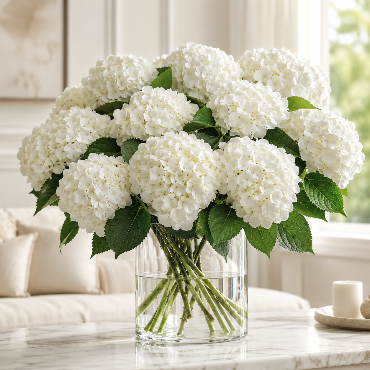 Hydrangea | Wholesale Fresh Flowers
