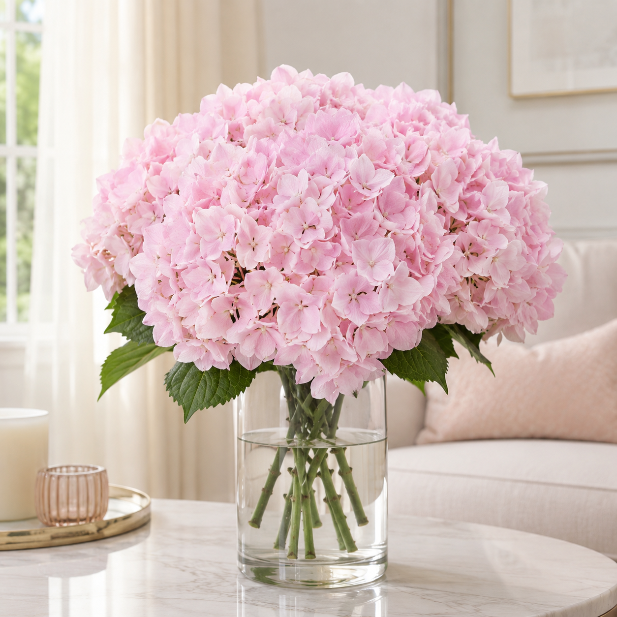 Hydrangea | Wholesale Fresh Flowers
