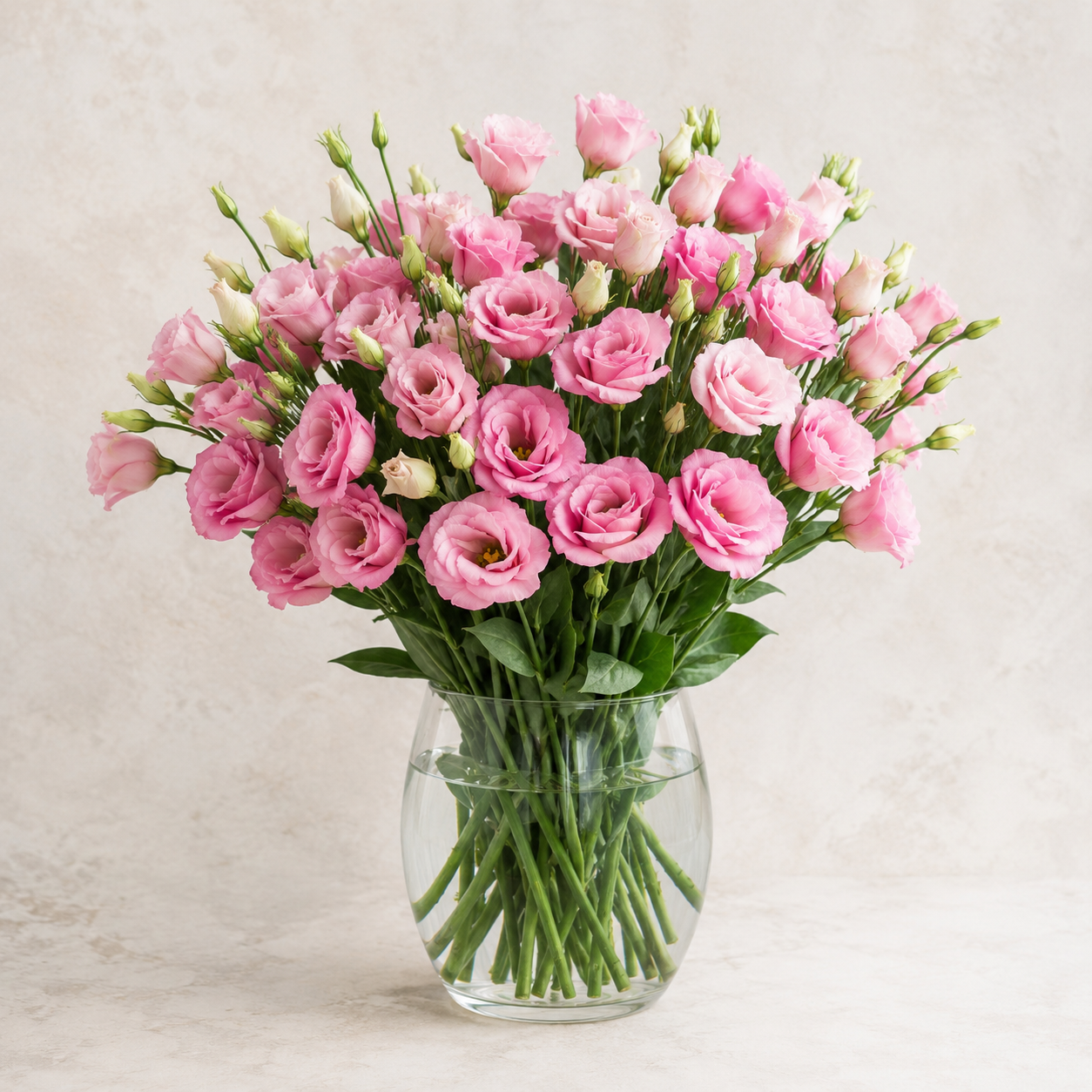 Eustoma | Wholesale Fresh Flowers