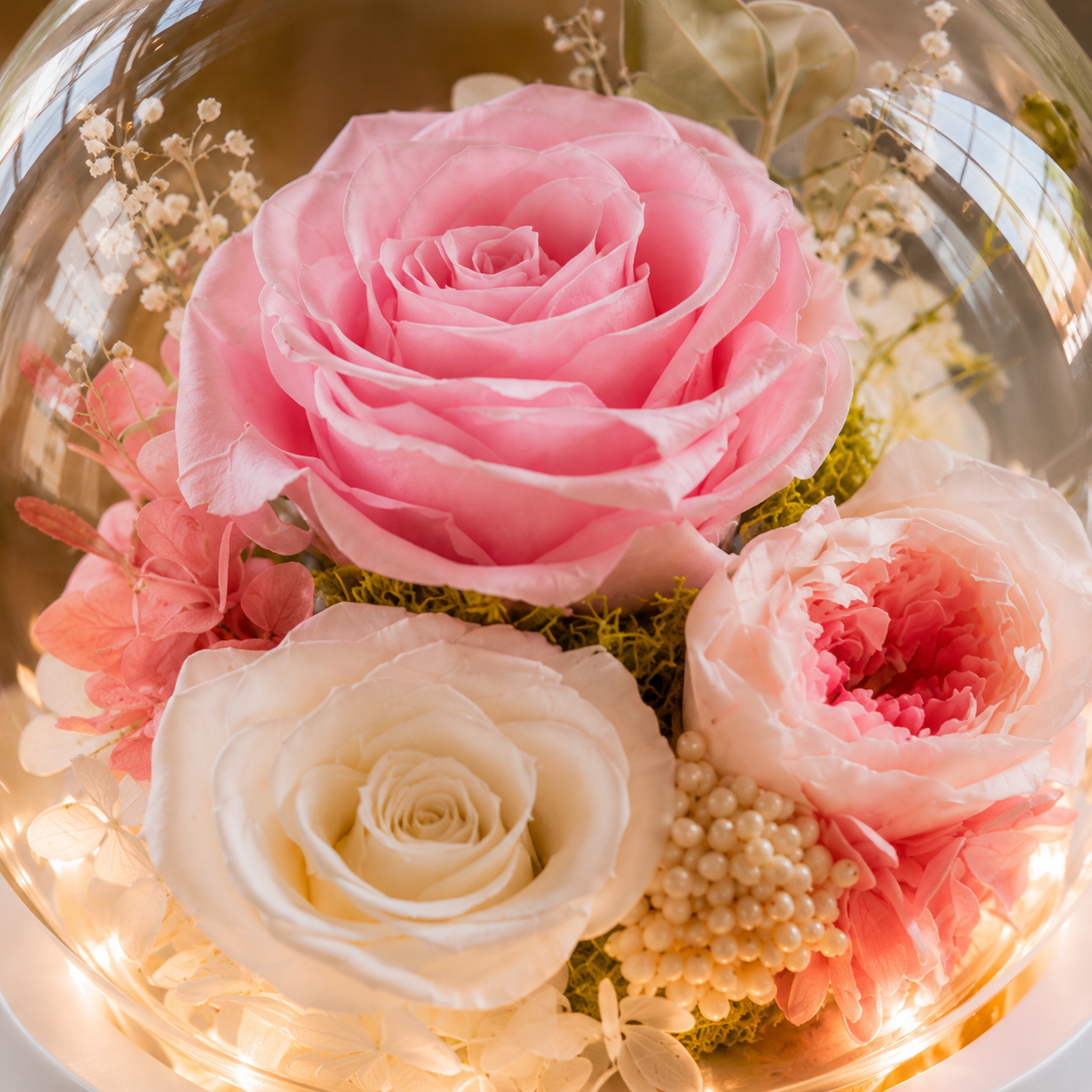 Blush Lumière (Pink Roses) | Preserved Flowers