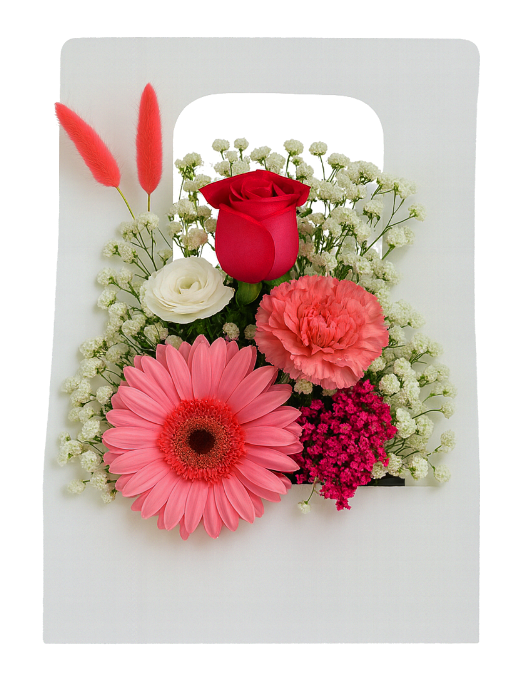 Coral Bloom