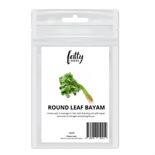 Garden Seeds Fatty Seeds – Round Leaf Bayam Vegetable Seeds