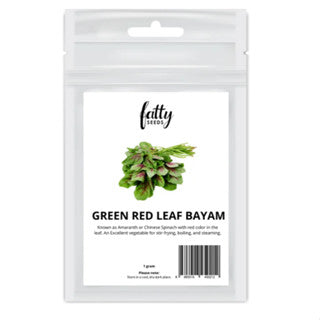 Garden Seeds Fatty Seeds – Sharp Leaf Bayam (Chinese Spinach) Vegetable Seeds
