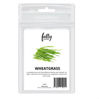 Garden Seeds Fatty Seeds – Wheatgrass Vegetable Seeds