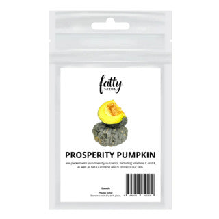 Gardening Garden Seeds Fatty Seeds – Prosperity Pumpkin
