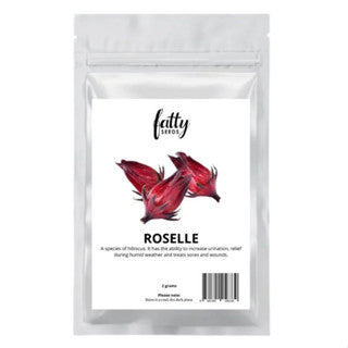 Gardening Garden Seeds Fatty Seeds – Roselle