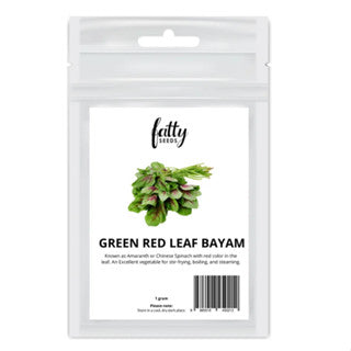 Gardening Seeds Fatty Seeds – Green Red Leaf Bayam (Spinach) Vegetable Seeds