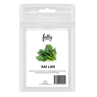 Gardening Seeds Fatty Seeds – Kai Lan Vegetable Seeds