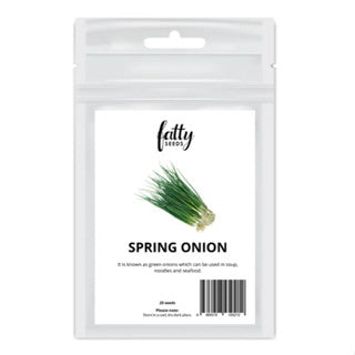 Gardening Seeds Fatty Seeds – Spring Onion (Scallion) Vegetable Seeds