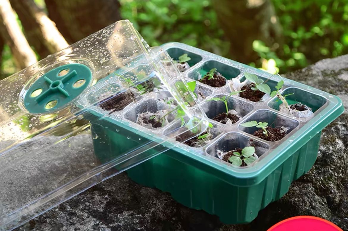 Germination Box Seedling Tray