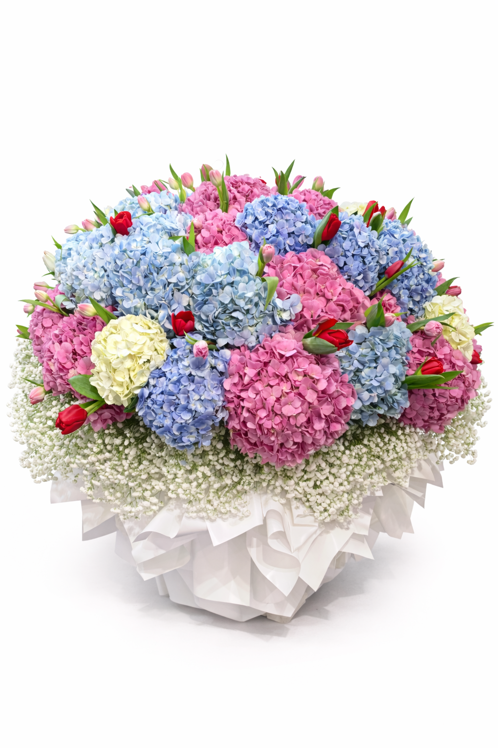 Pastel Cloud Nine (Hydrangea) | CNY Flowers