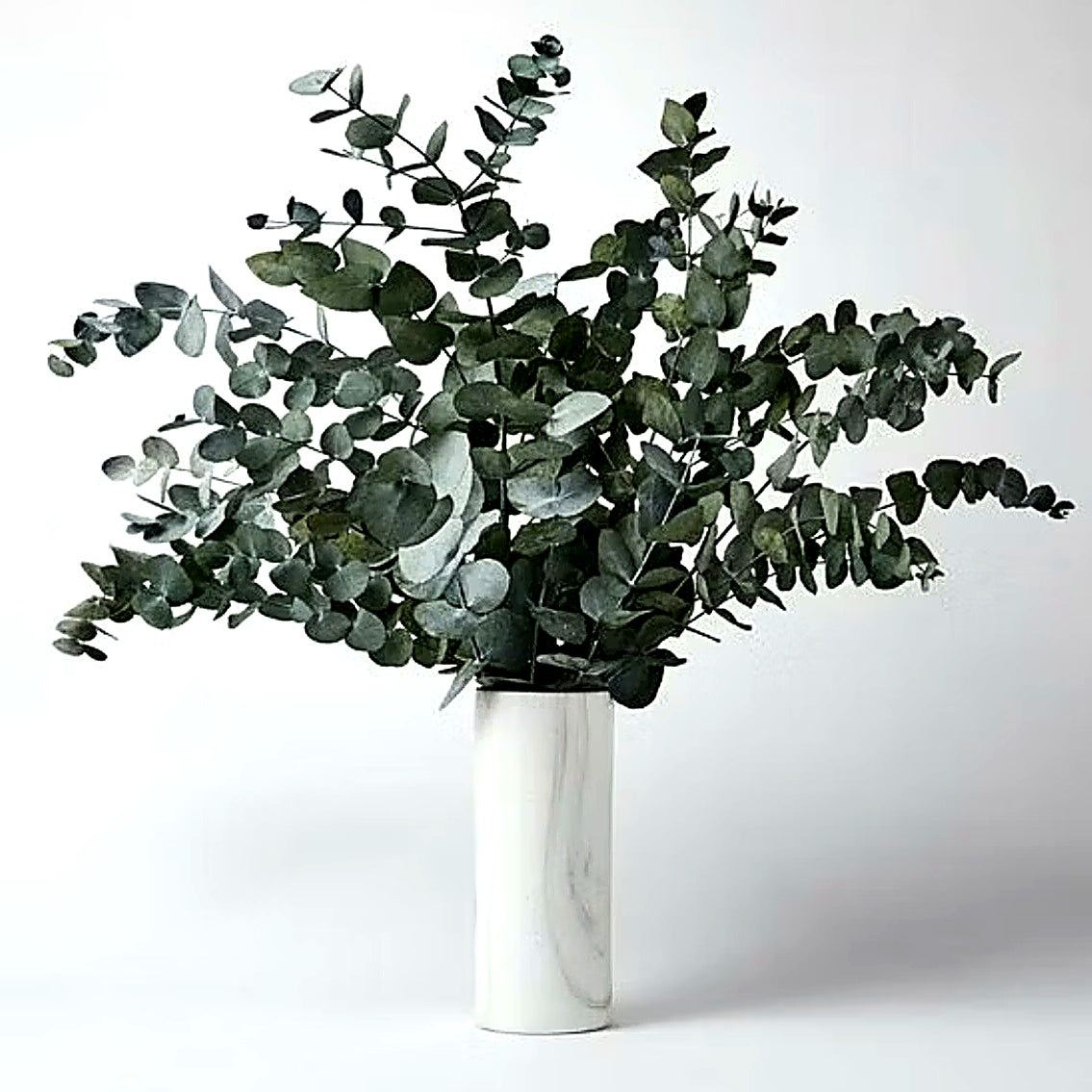 Eucalyptus Leaves | Wholesale Flowers